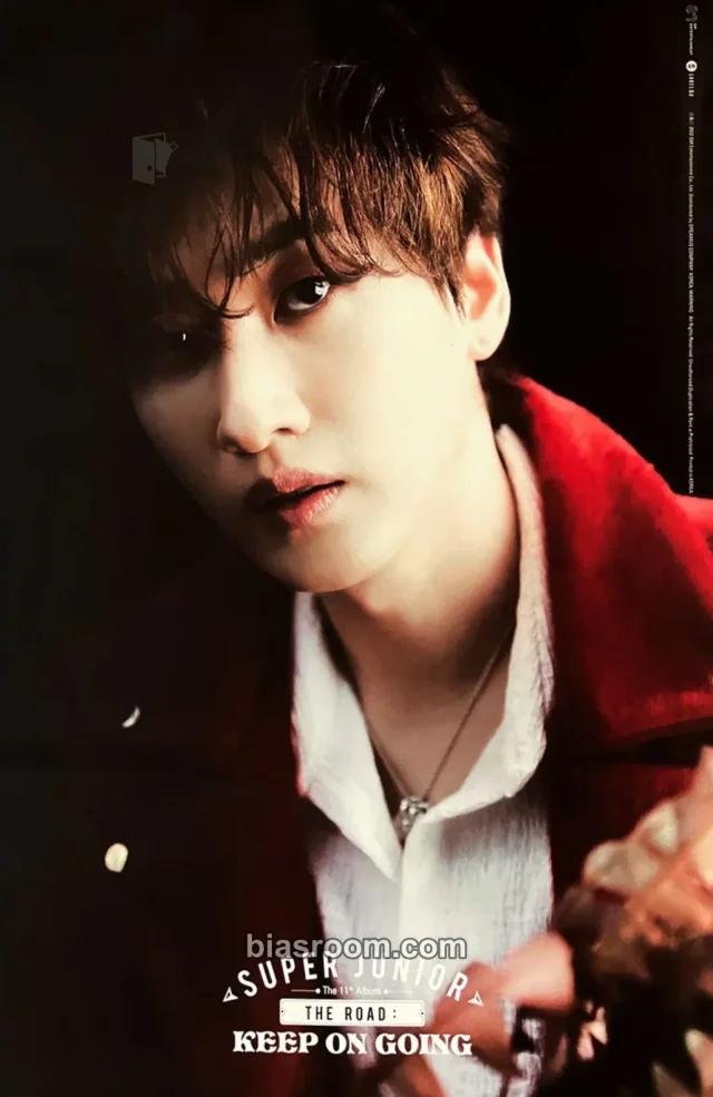 SUPER JUNIOR - Eunhyuk - The Road: Keep On Going Album poster street version supplemental