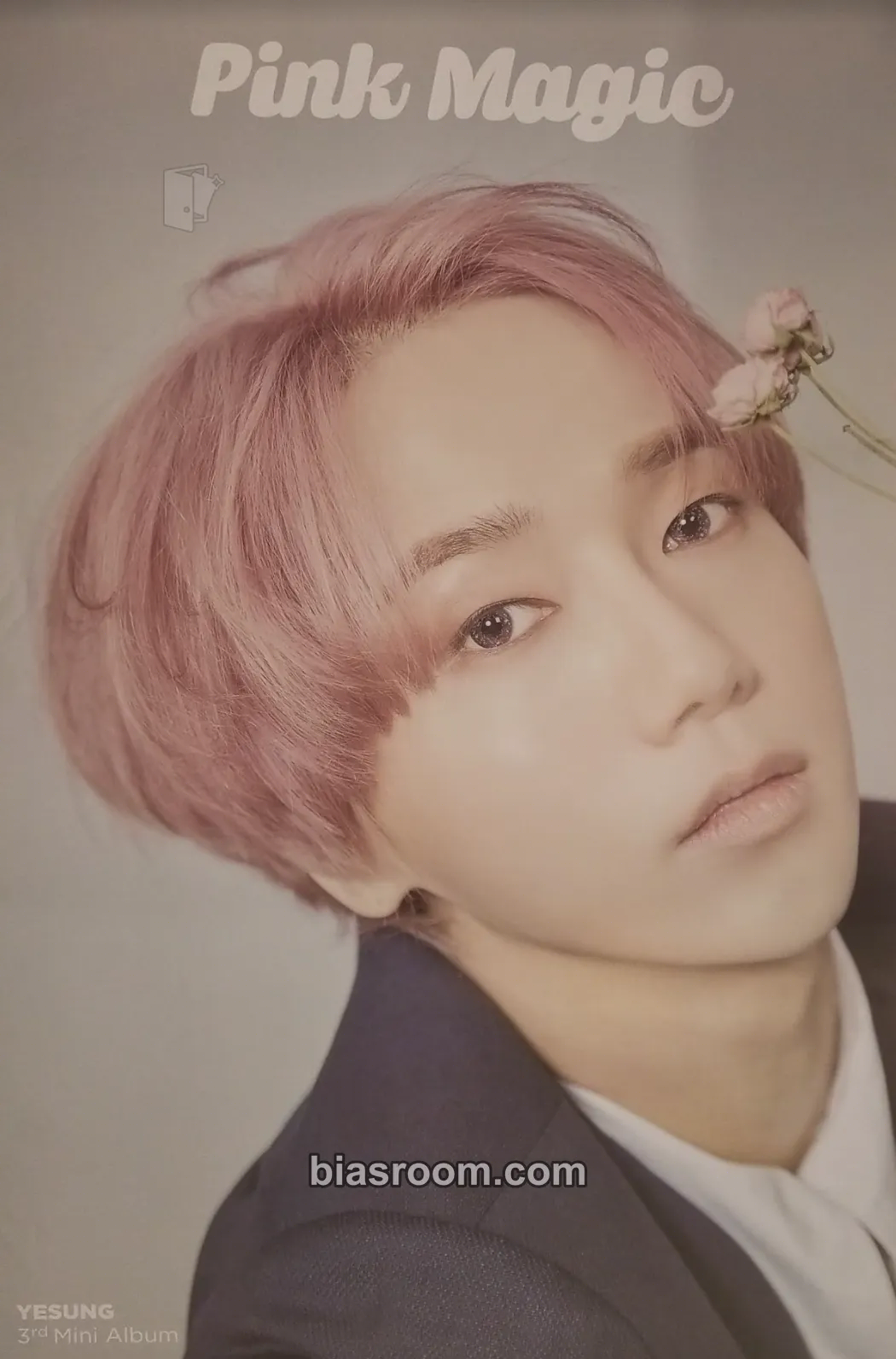 Yesung Pink Magic (Yesung Solo) Photocard - SUPER JUNIOR - SUPER JUNIOR K-pop photocard