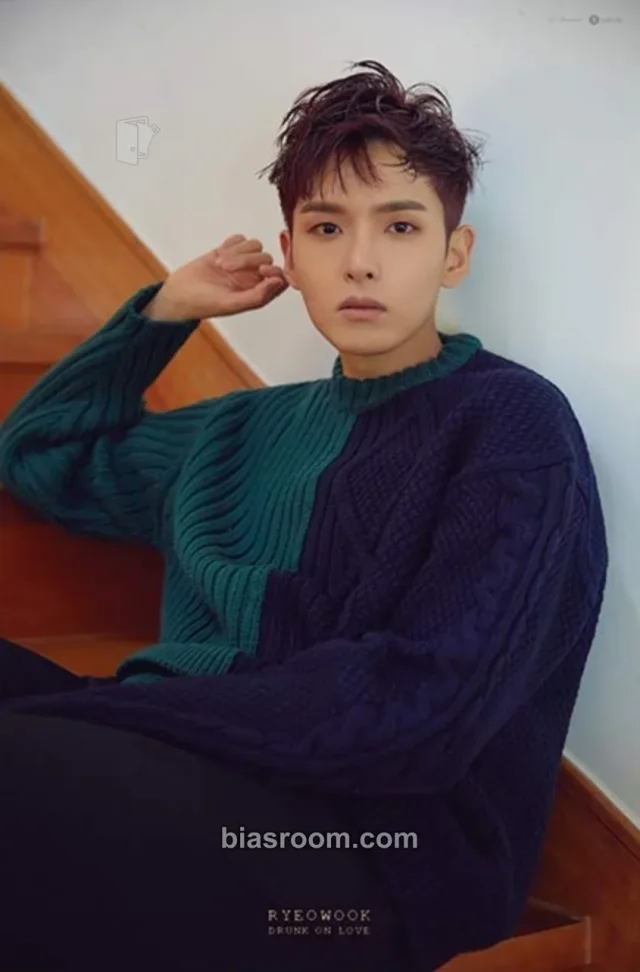 SUPER JUNIOR - Ryeowook - Drunk On Love (Ryeowook Solo) Album poster first press only supplemental