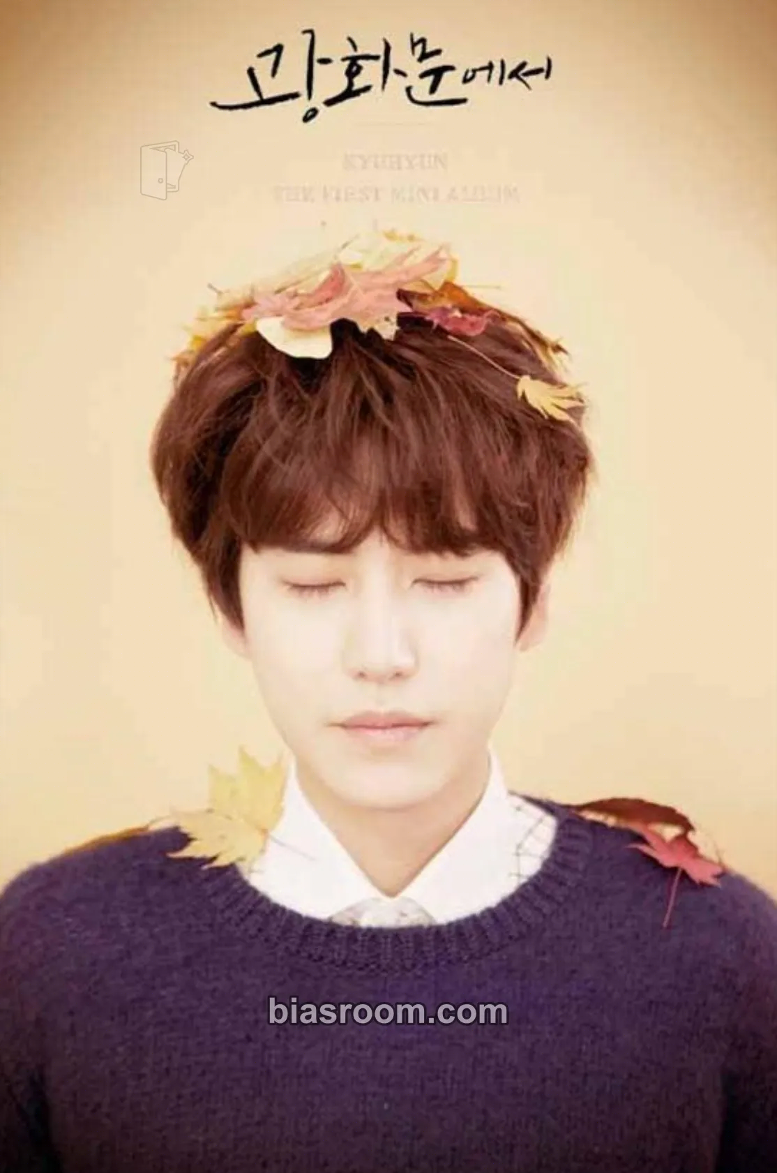 Kyuhyun At Gwanghwamun (Kyuhyun Solo) Photocard - SUPER JUNIOR - SUPER JUNIOR K-pop photocard