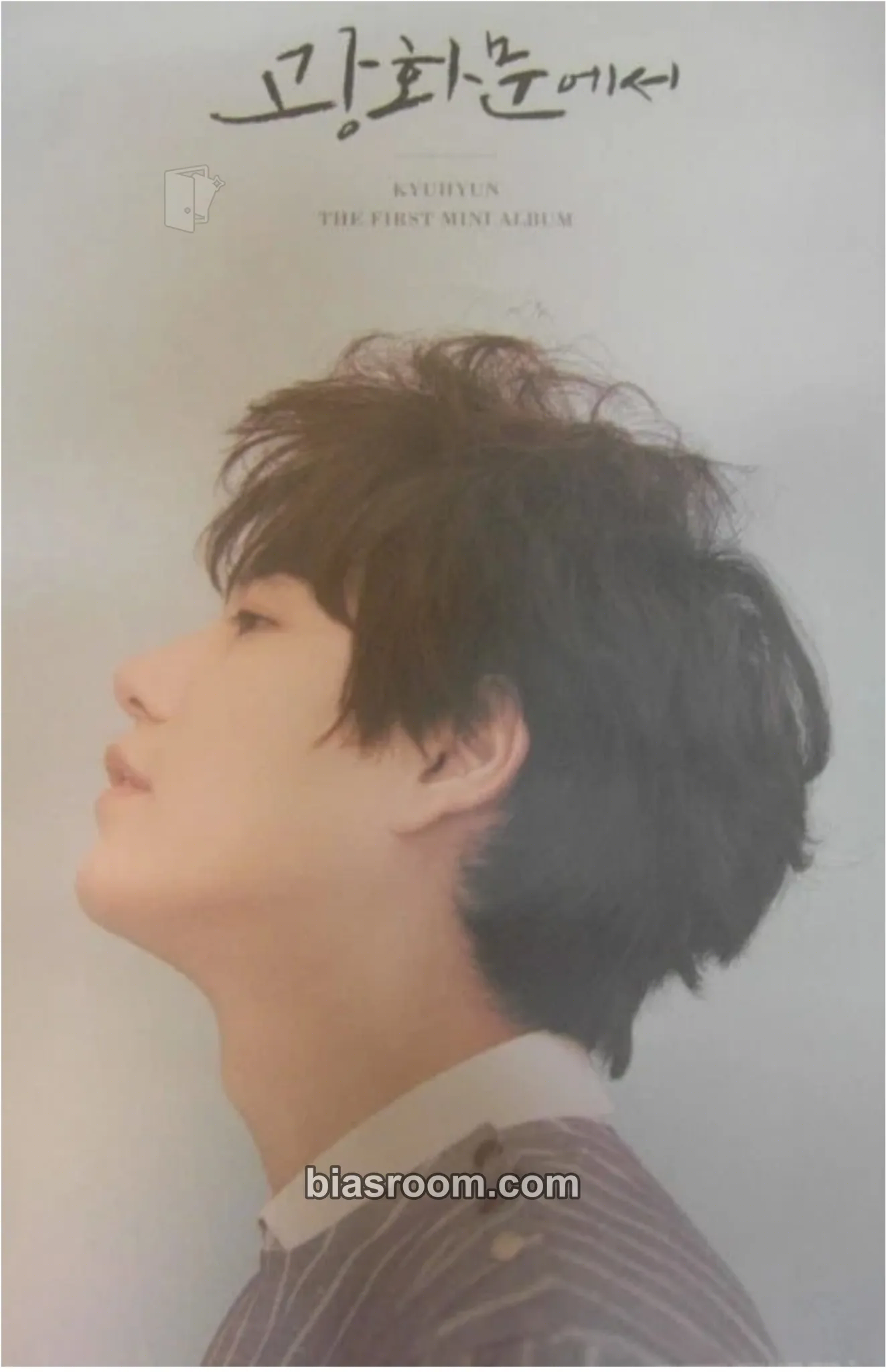 Kyuhyun At Gwanghwamun (Kyuhyun Solo) Photocard - SUPER JUNIOR - SUPER JUNIOR K-pop photocard