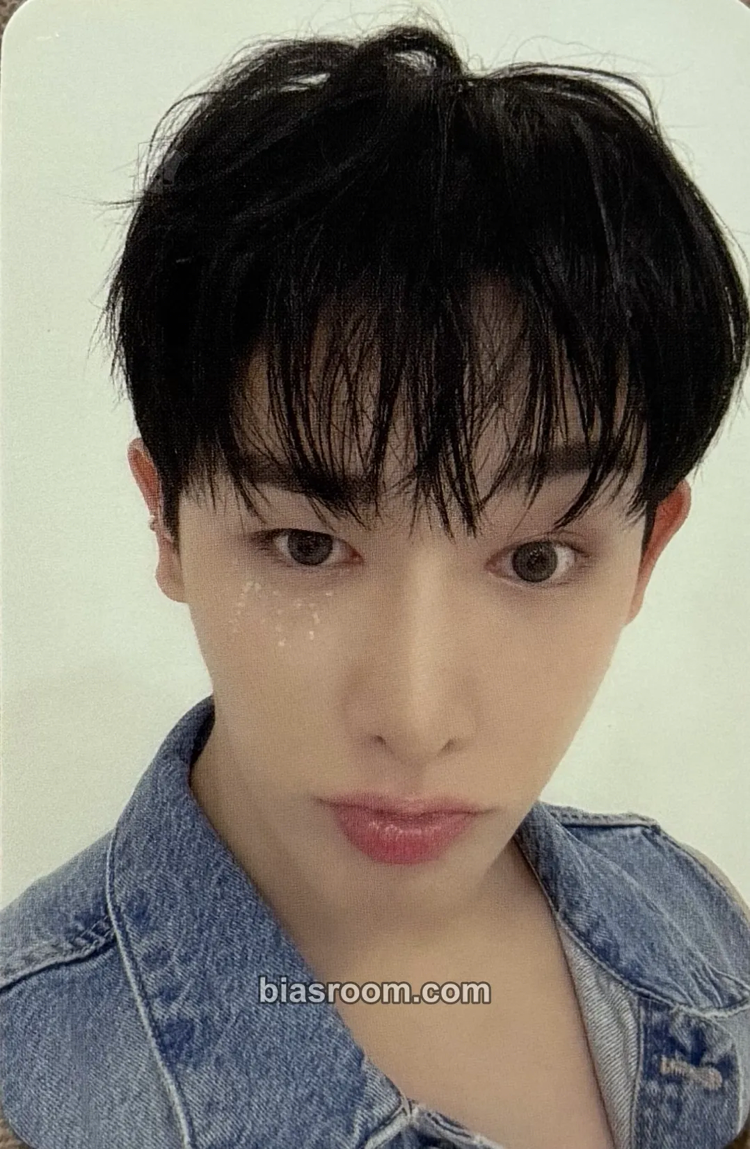 Wonho Bittersweet Photocard - Wonho K-pop photocard