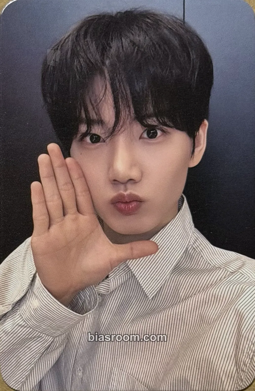 Junkyu LOVE PULSE Photocard - TREASURE - TREASURE K-pop photocard