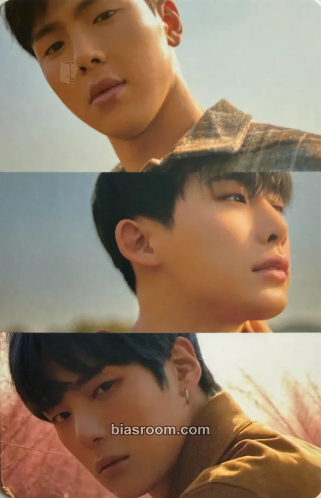 MONSTA X - Shownu & Wonho & Minhyuk - 2018 Season's Greetings Other kit inclusion photocard set season's greetings