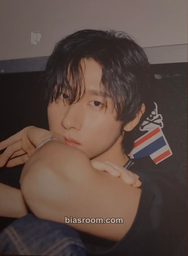 MONSTA X - I.M - Monsta X Festival X Other fanclub/membership kit inclusion mini poster poster set