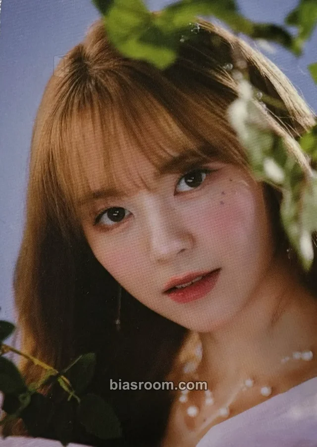 Fairy Fantasia: Japan Fan Meeting Photocard - Kep1er | Bias Room