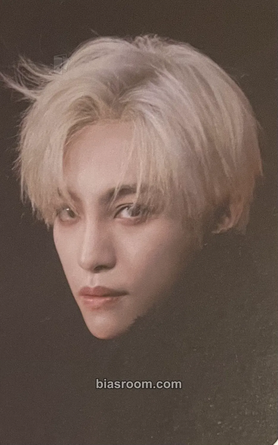 Yangyang 2023 Season's Greetings Photocard - WayV - WayV K-pop photocard