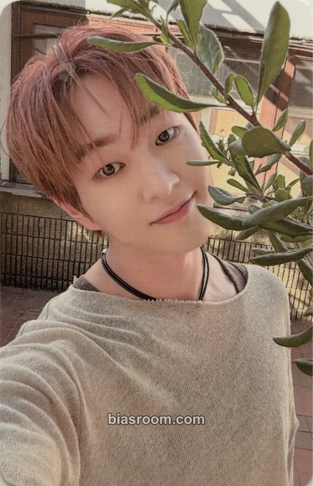 Onew Onew the Live: Percent (%) Photocard - SHINee - SHINee K-pop photocard