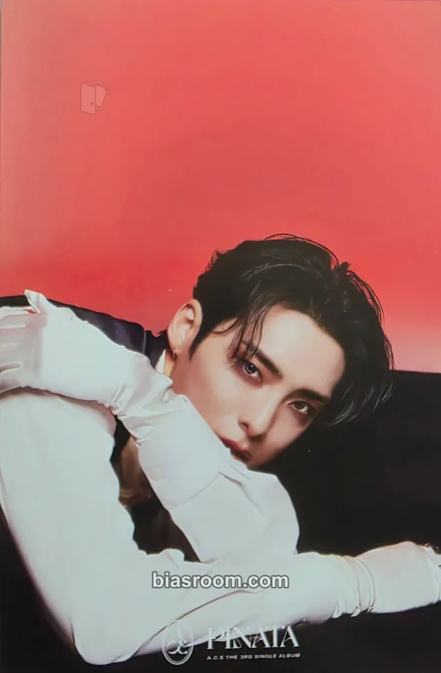 A.C.E - Park Junhee - PINATA Album album inclusion postcard