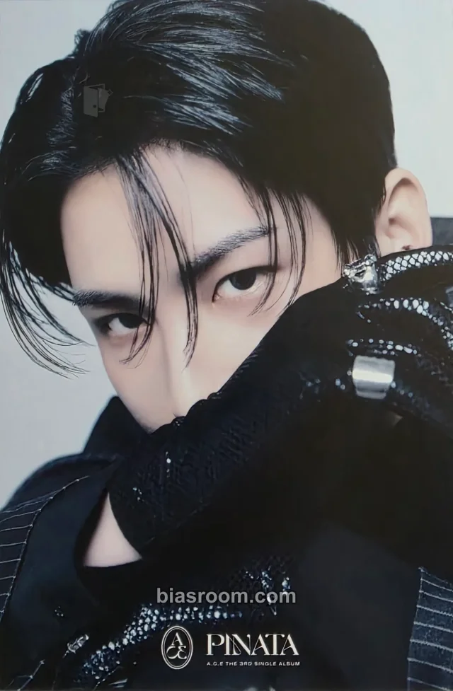 A.C.E - Wow - PINATA Album album inclusion postcard