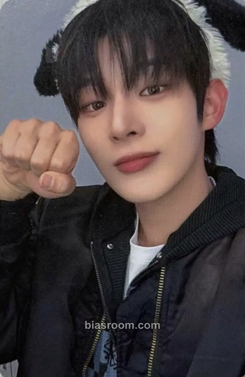 Steven Photocards (AHOF) | Bias Room