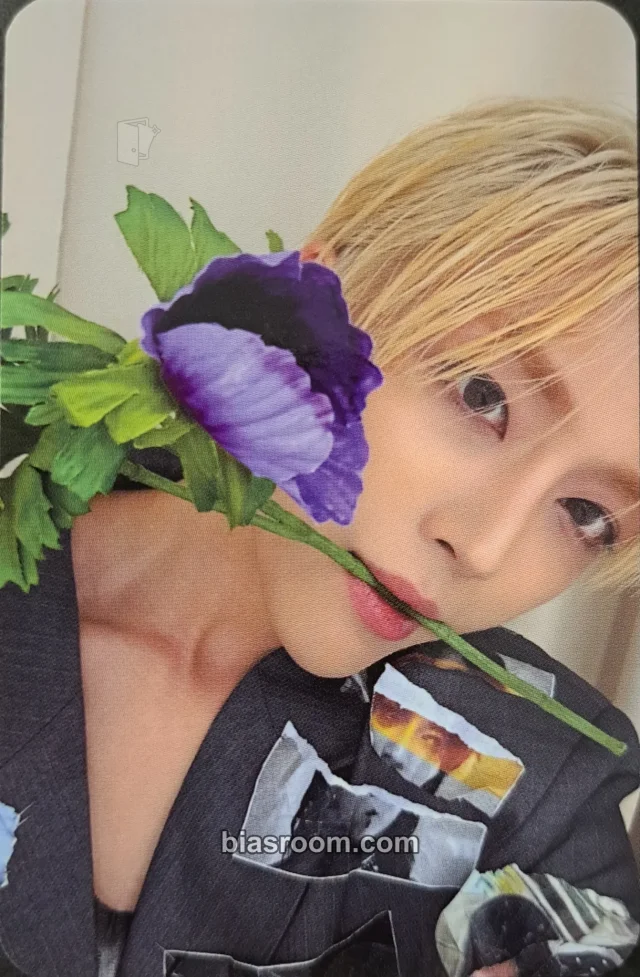 NINE.i - LAVIN - Animated Album album photocard