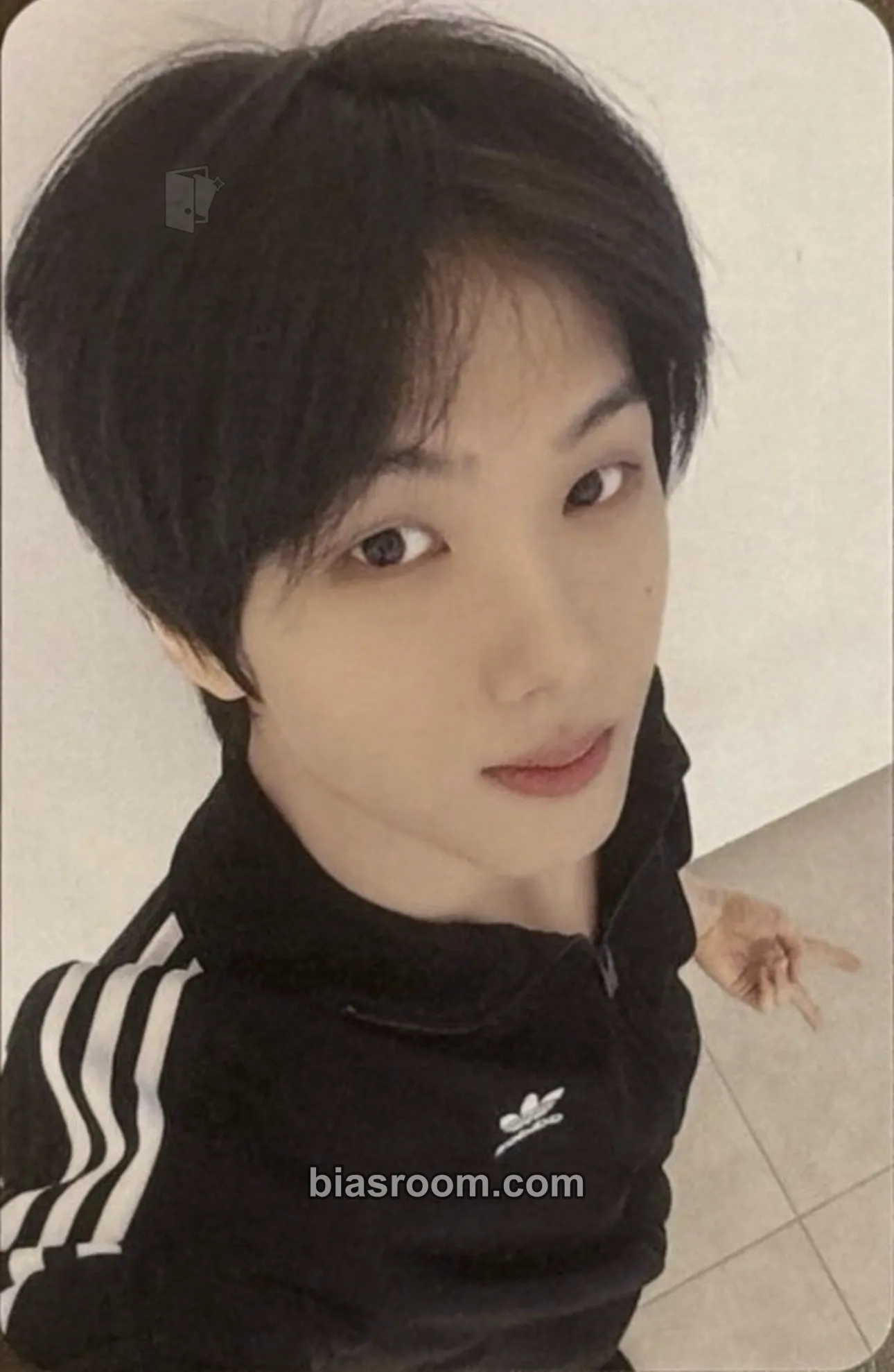 Jisung Dreamscape Photocard - NCT DREAM - NCT DREAM K-pop photocard