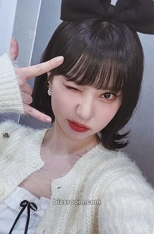 VIVIZ - Eunha - Virthday Party DayZ Event merch photocard griptok (smart tok)