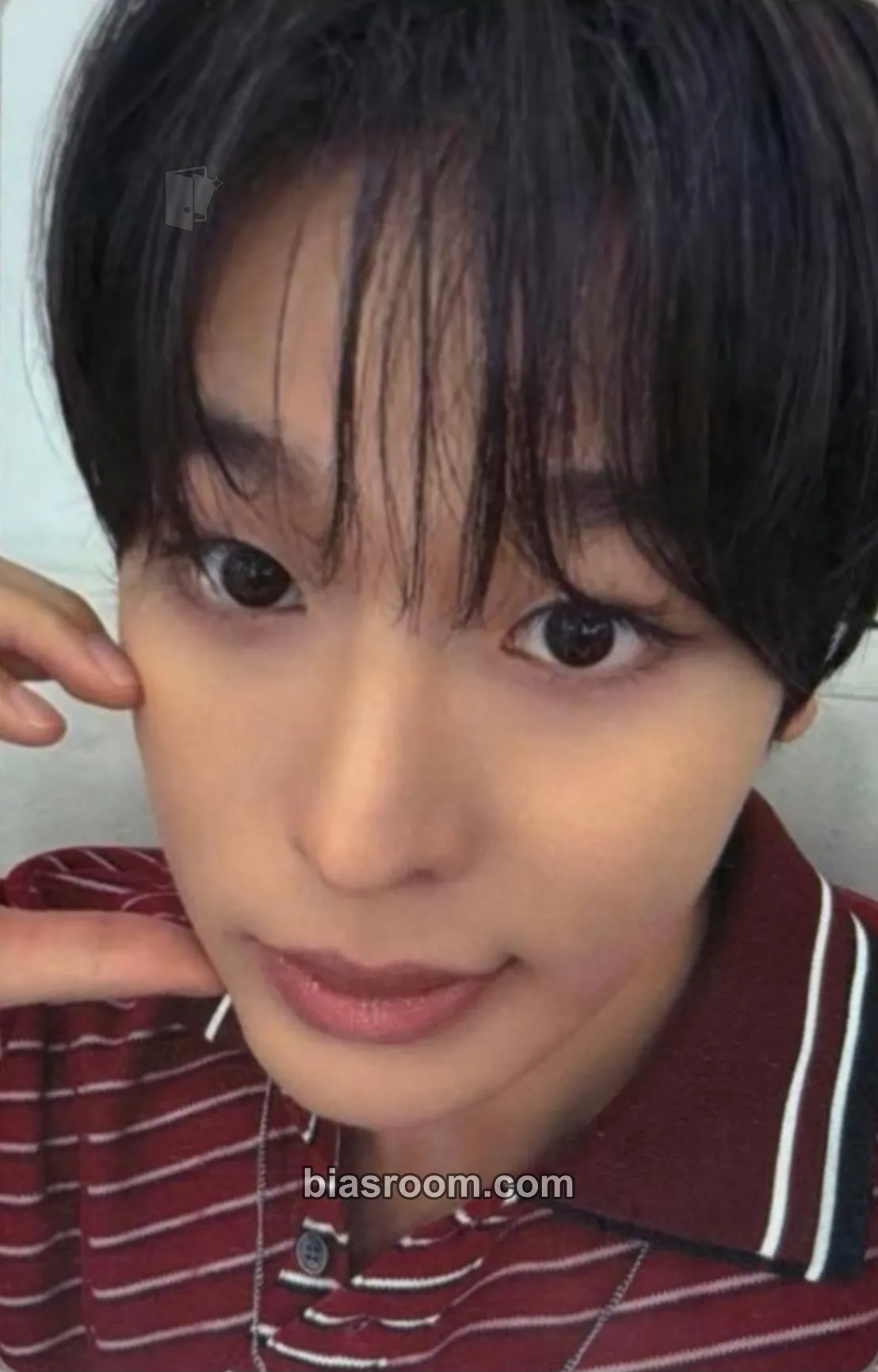 Riku Ode to Love Photocard - NCT WISH - NCT WISH K-pop photocard