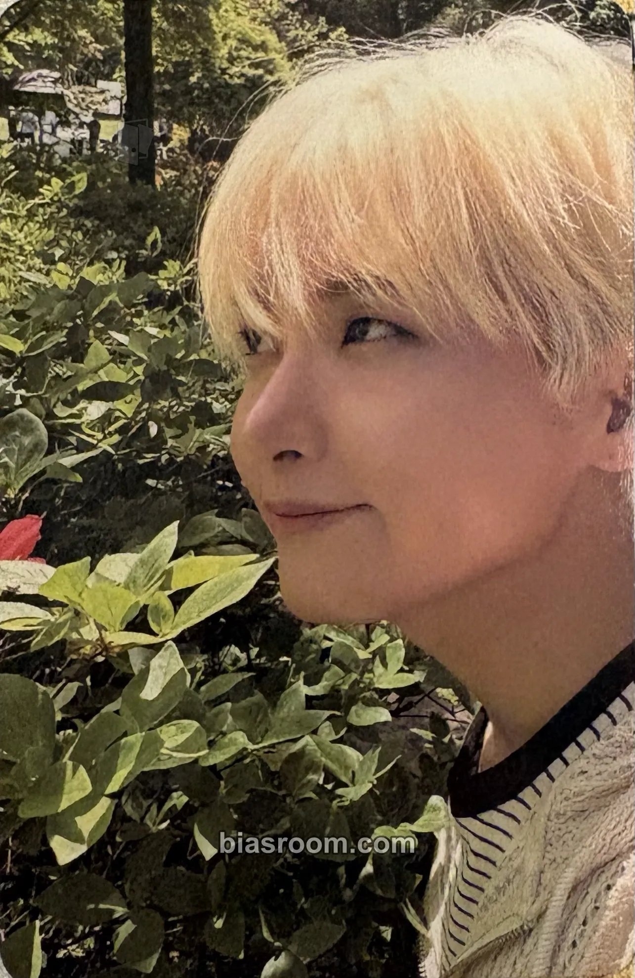 Ryeowook Runaway (Ryeowook Solo) Photocard - SUPER JUNIOR - SUPER JUNIOR K-pop photocard