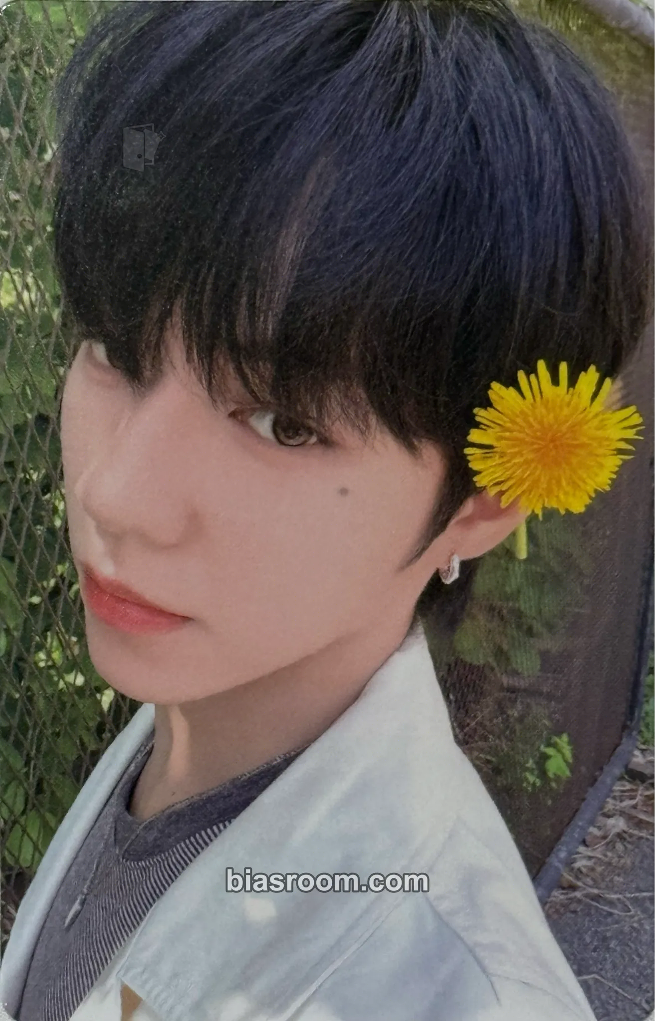 JL AHOF x Teleca MIIM Collection Card Photocard - AHOF | Bias Room
