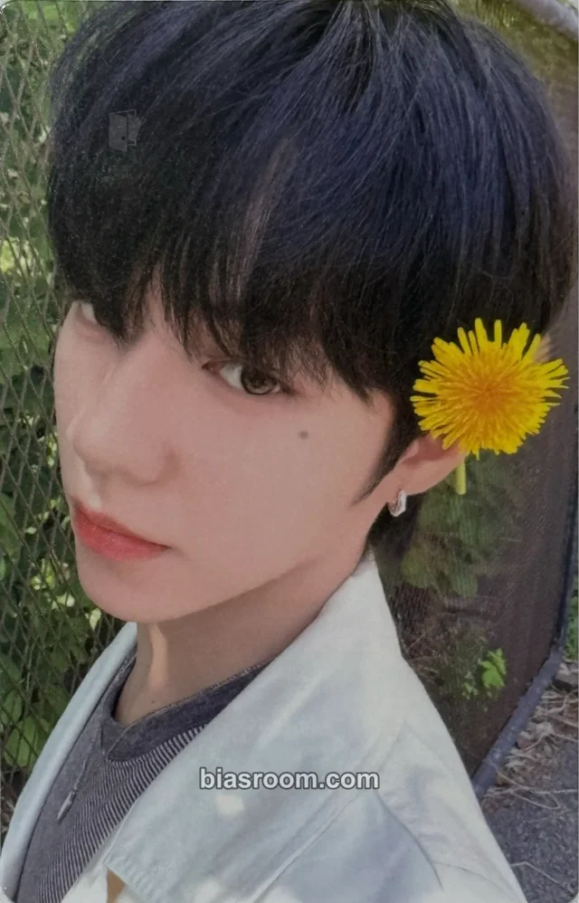 AHOF - JL - AHOF 1ST TOUR: THE FIRST SPARK Event entrance / attendance benefit photocard set malaysia