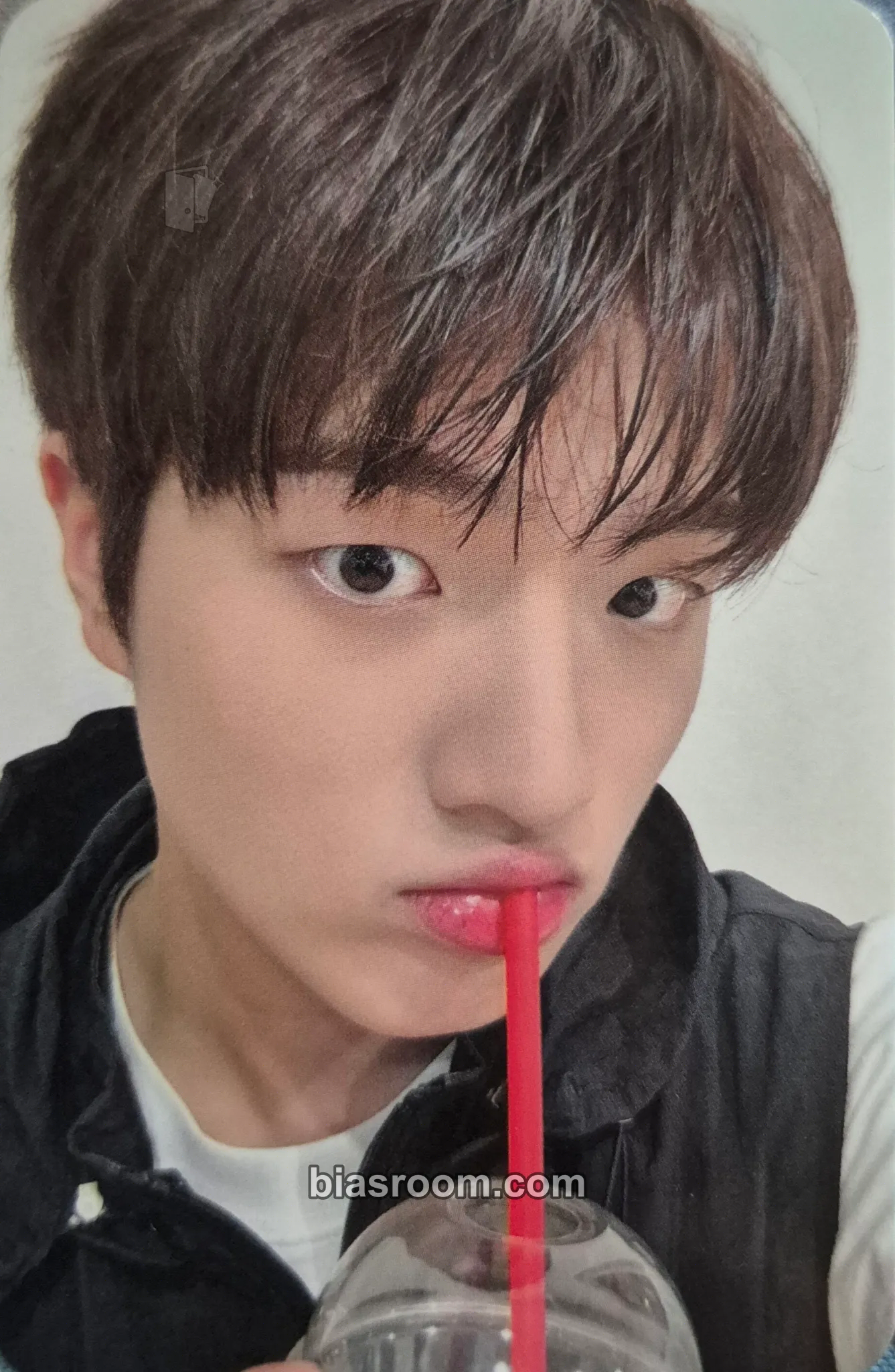 Yechan DREAM LIKE Photocard - TRENDZ - TRENDZ K-pop photocard