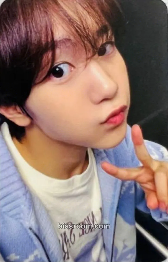 Ryo Steady Photocard - NCT WISH - NCT WISH K-pop photocard