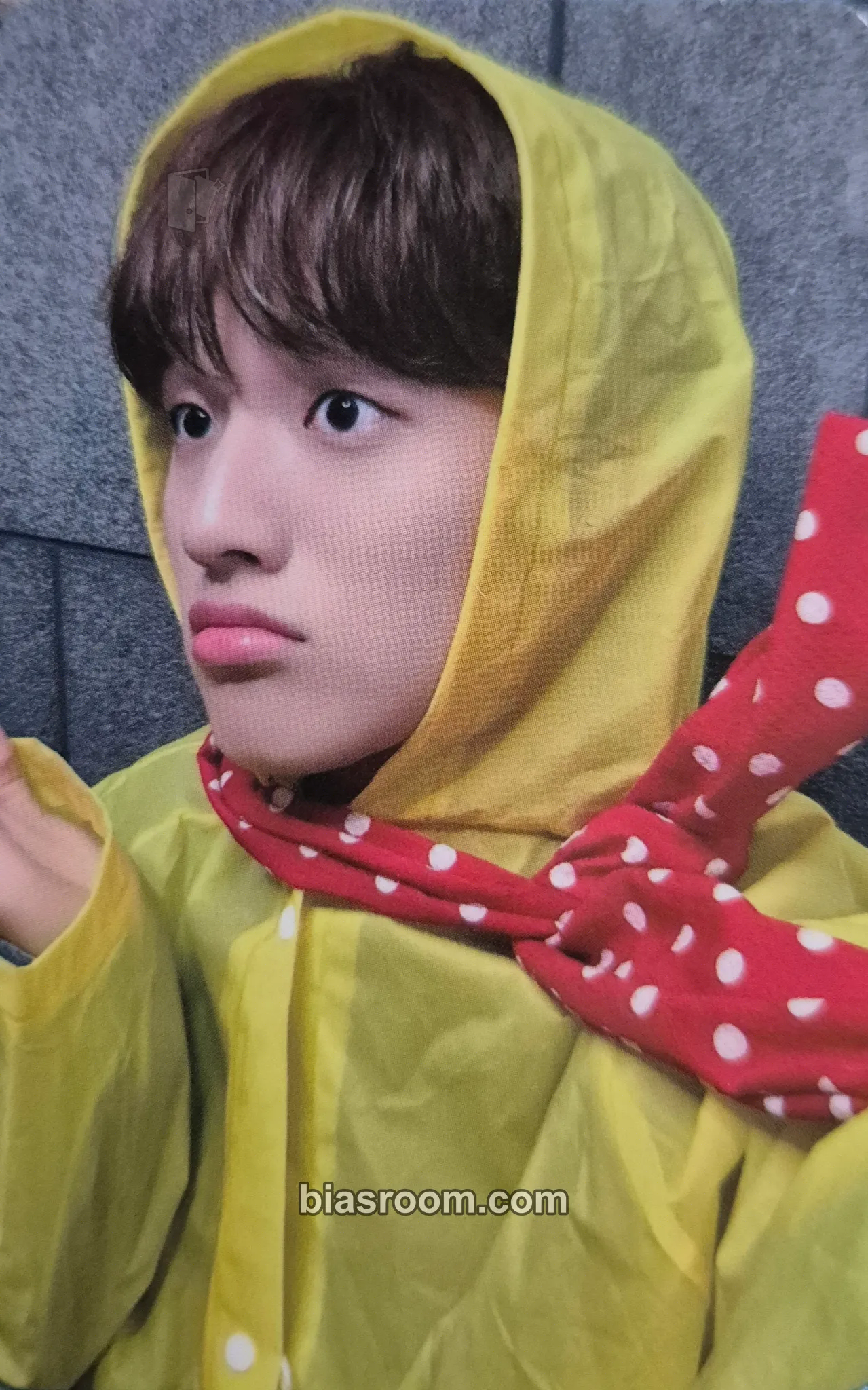 Yechan DREAM LIKE Photocard - TRENDZ - TRENDZ K-pop photocard