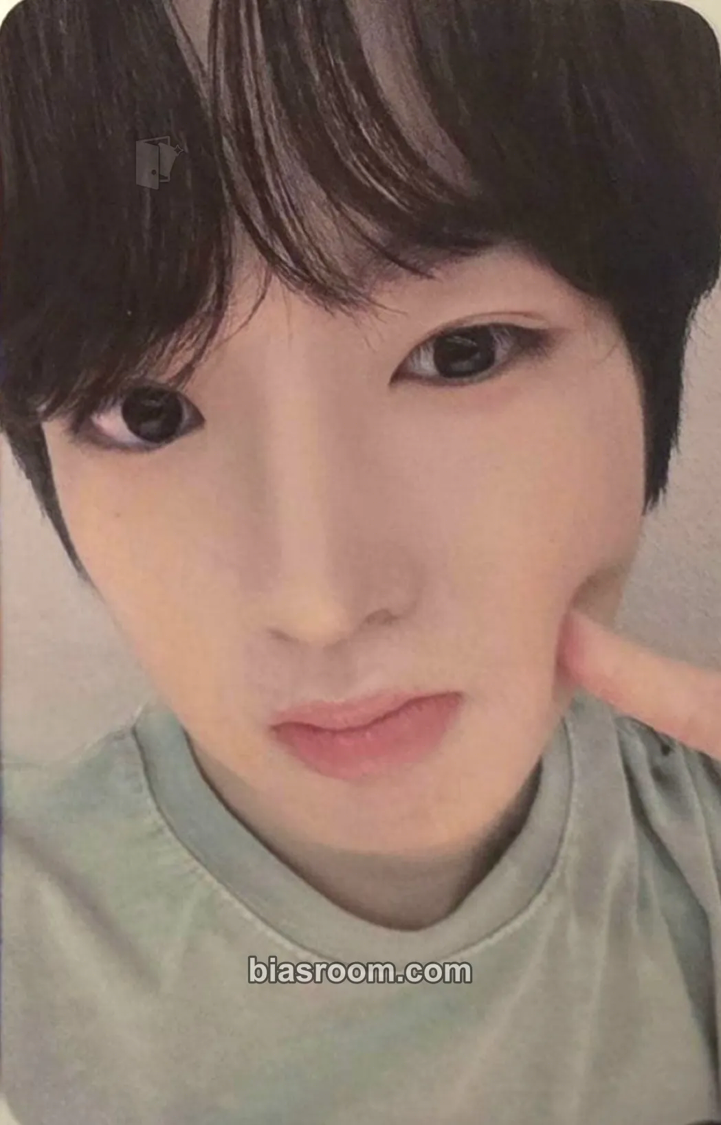 Sakuya Steady Photocard - NCT WISH - NCT WISH K-pop photocard