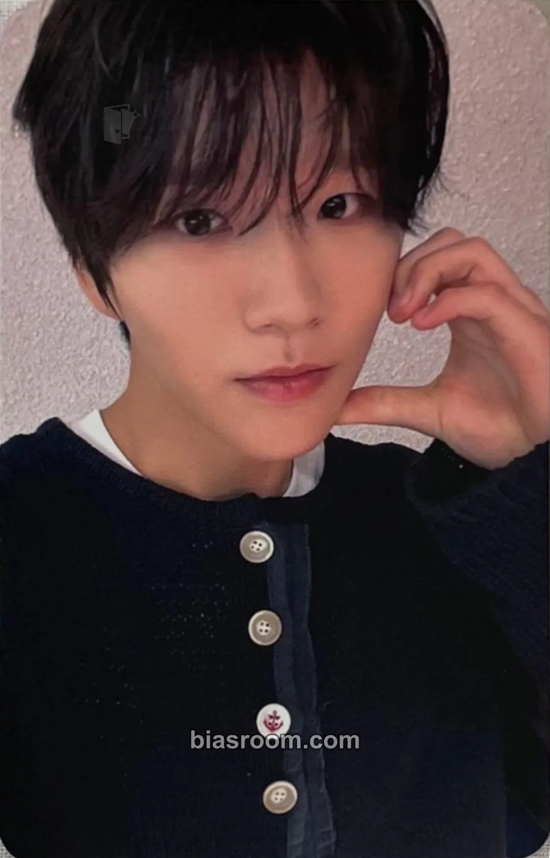 Jaehee Steady Photocard - NCT WISH - NCT WISH K-pop photocard