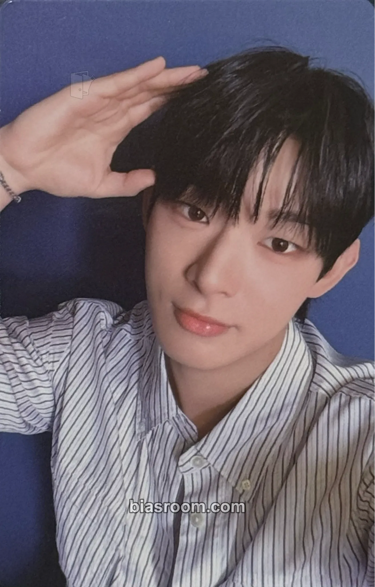 LUMINOUS AHOF スティーブン トレカ Steven Photocards (AHOF) | Bias Room