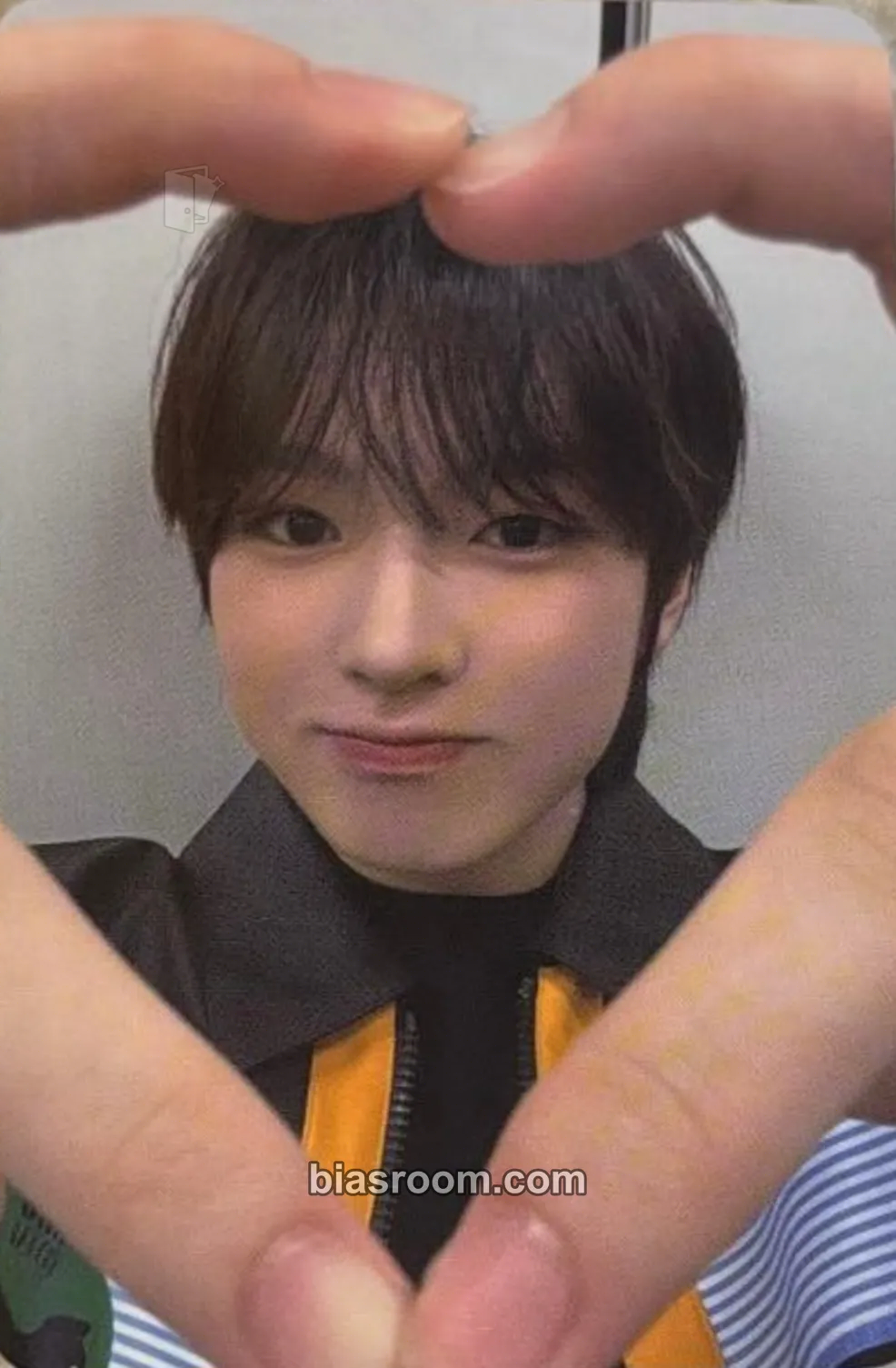 Sakuya Steady Photocard - NCT WISH - NCT WISH K-pop photocard