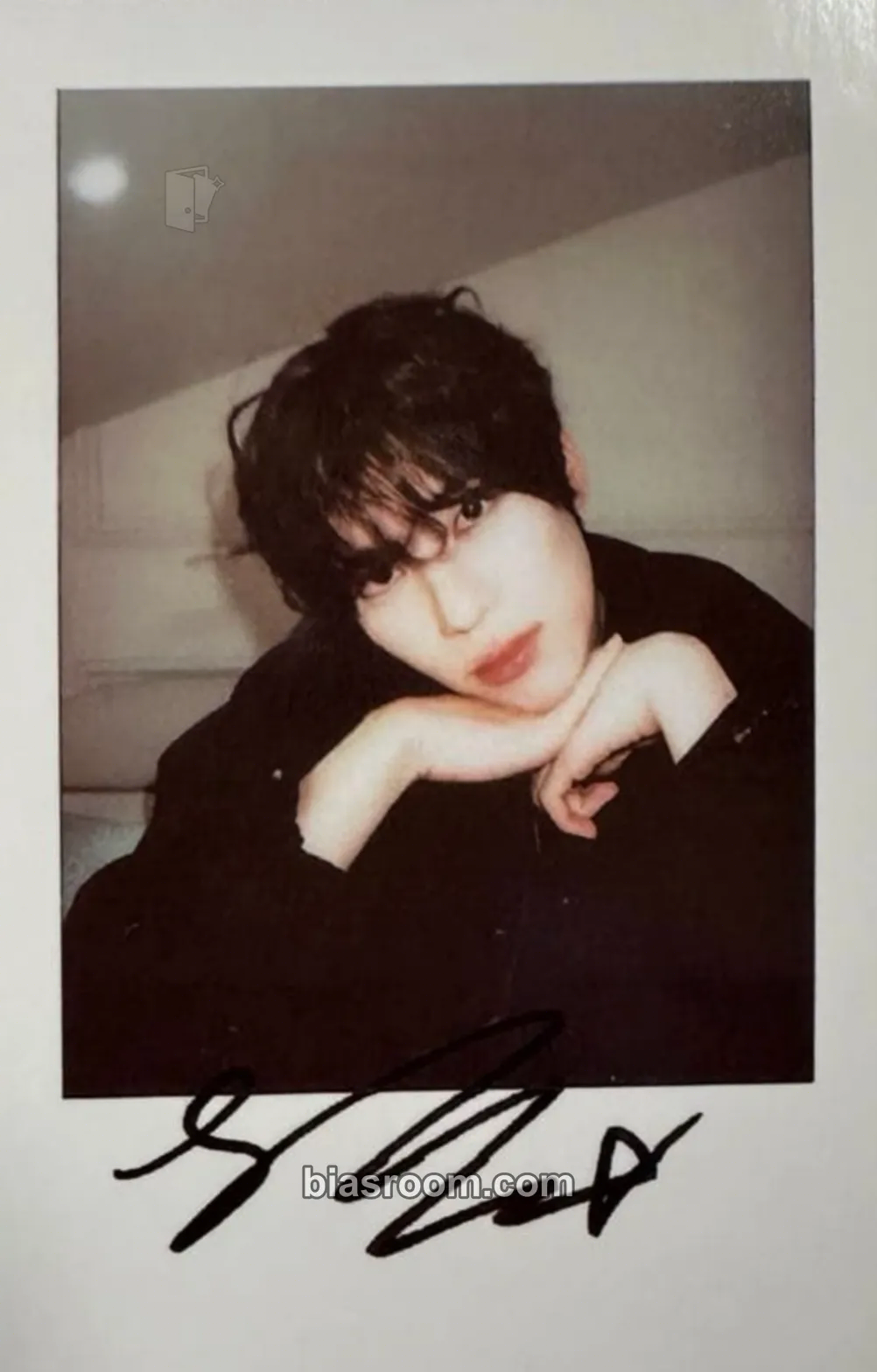 Sion Steady Photocard - NCT WISH - NCT WISH K-pop photocard
