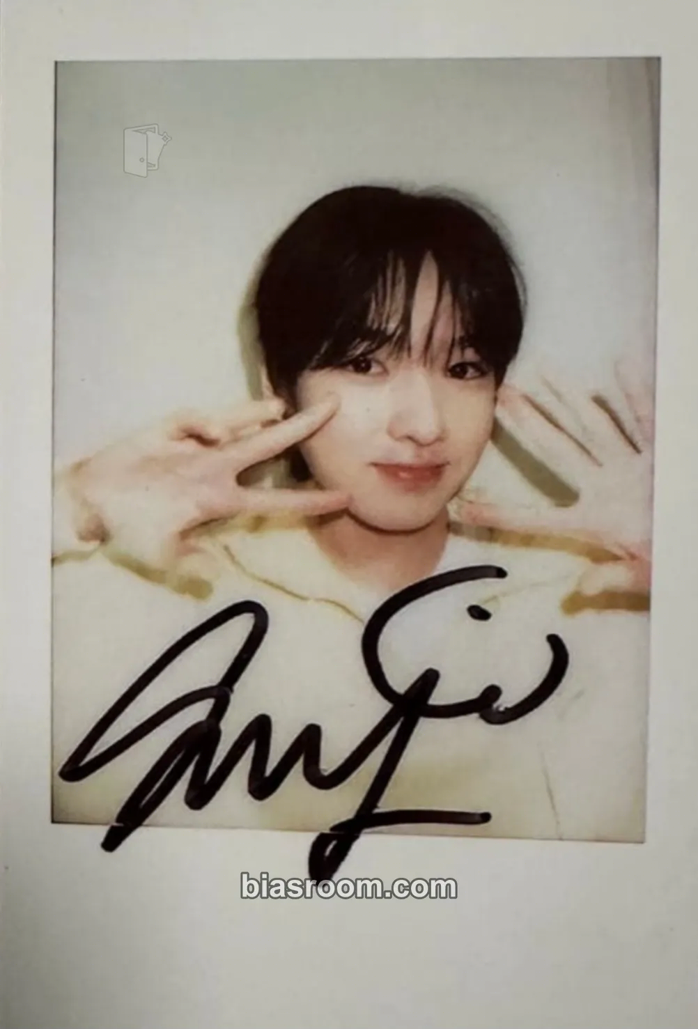 Sakuya Steady Photocard - NCT WISH - NCT WISH K-pop photocard