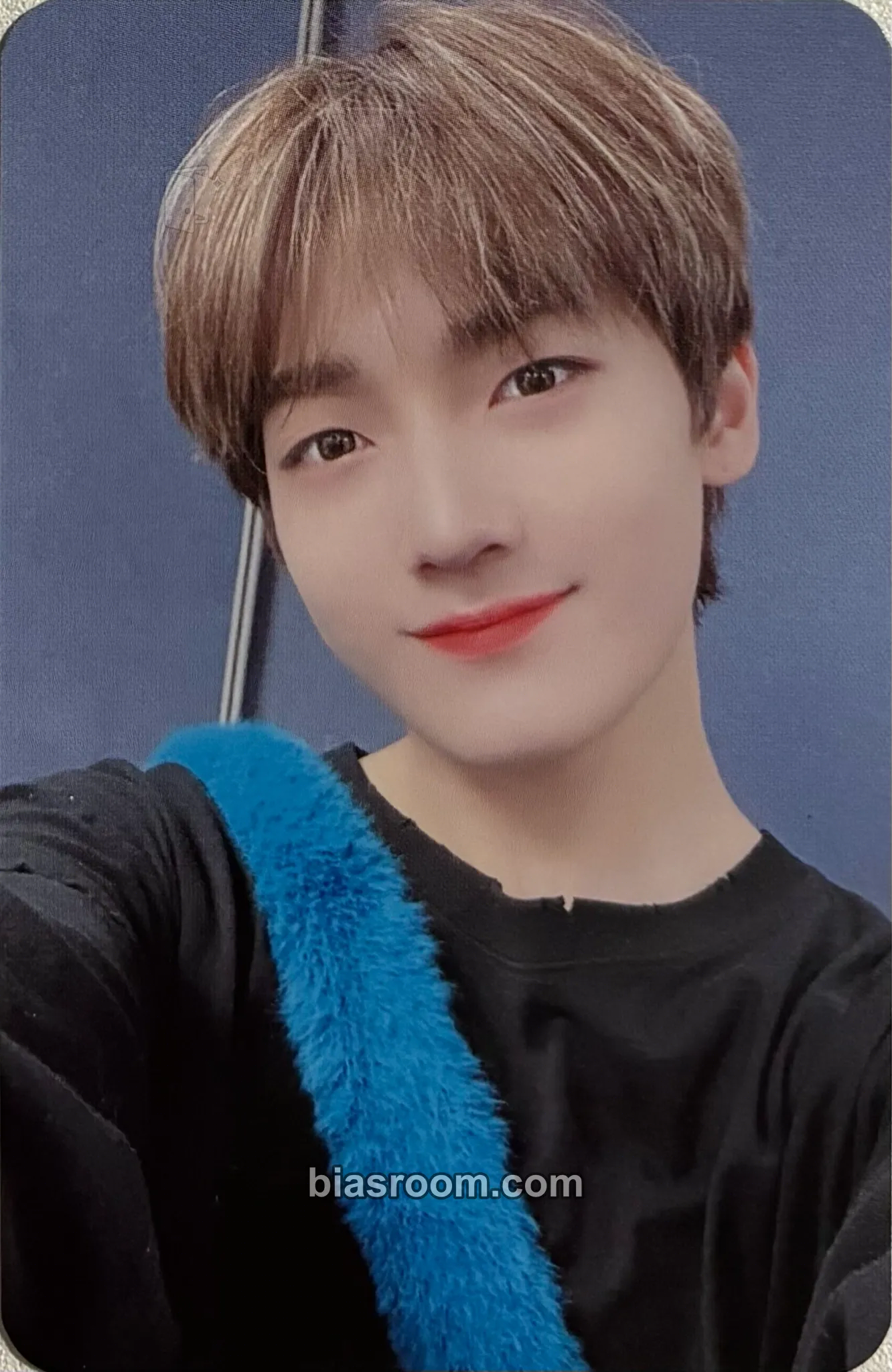 Won I Like You Photocard - Ciipher - Ciipher K-pop photocard