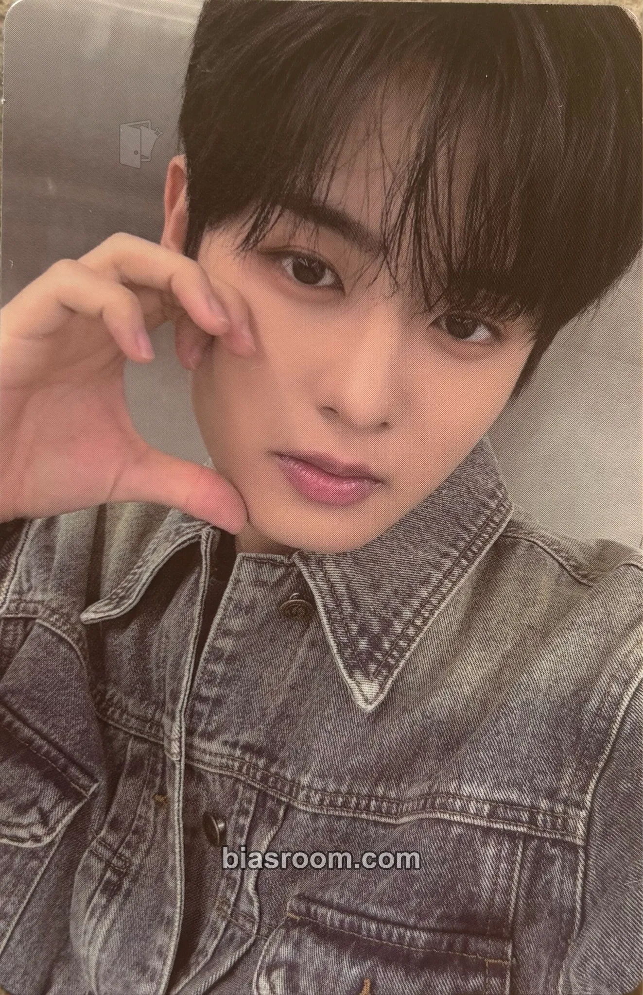 Woono Younite Canada Tour 2026 Photocard - Younite - Younite K-pop photocard