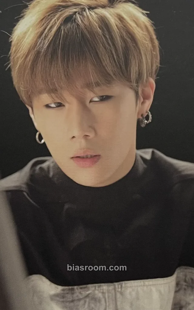 INFINITE - Sungkyu - INFINITE Official Fanclub <Inspirit> 5th Generation Gift Other fanclub/membership