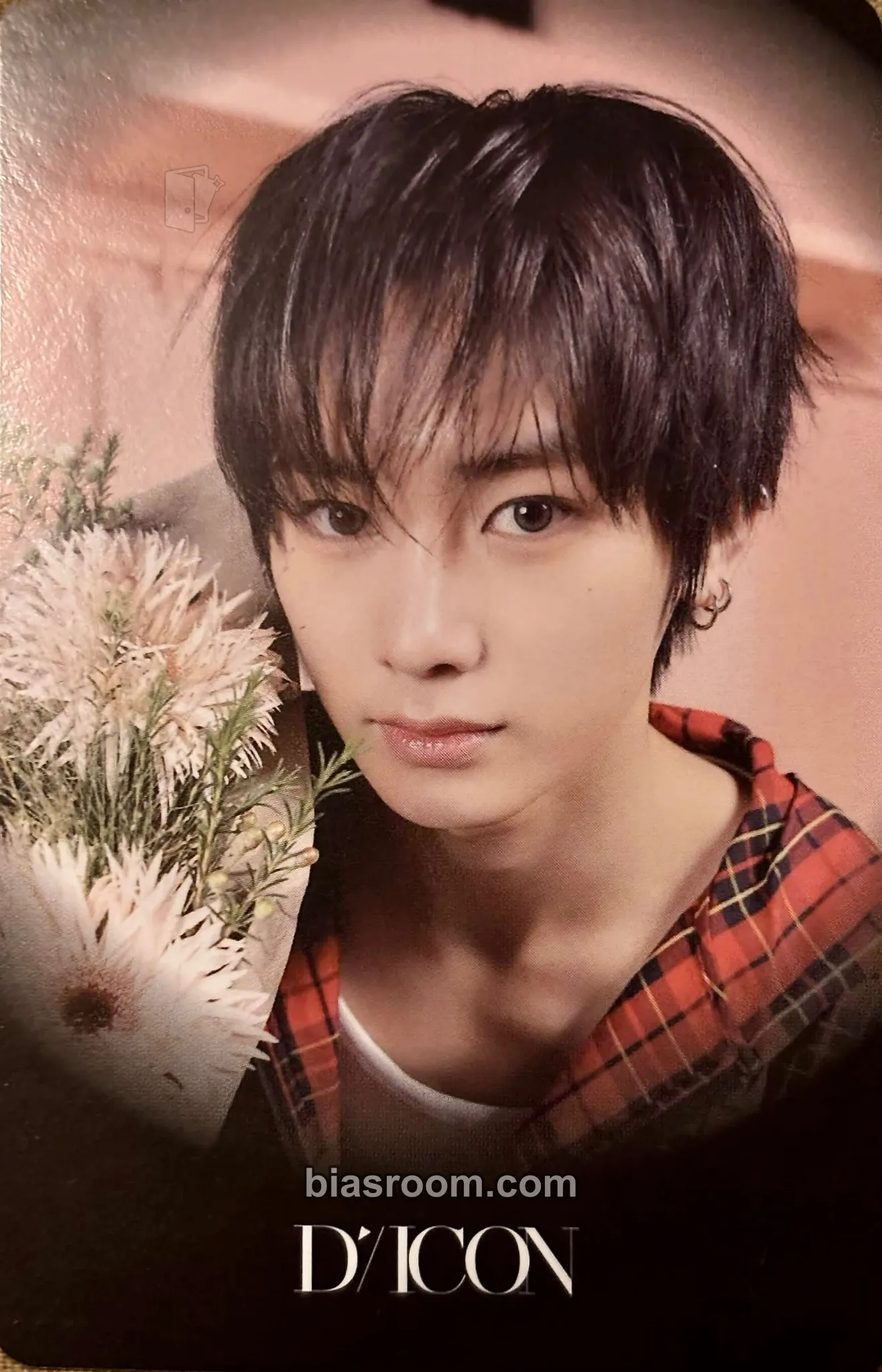 Anxin DICON VOLUME Nº33 Photocard - ALPHA DRIVE ONE - ALPHA DRIVE ONE K-pop photocard