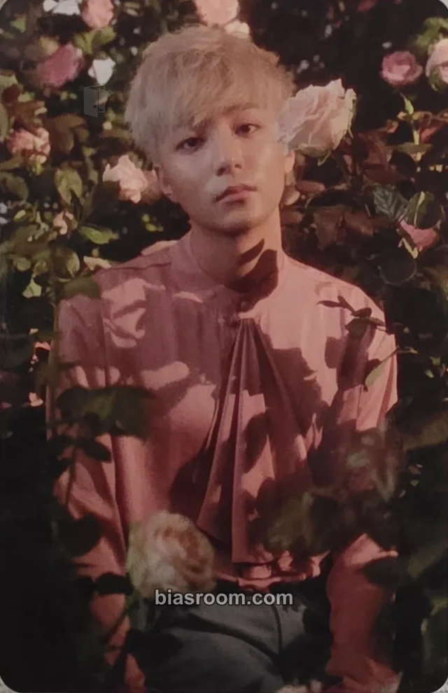 Roy Kim - Roy Kim - Blooming Season Album album photocard