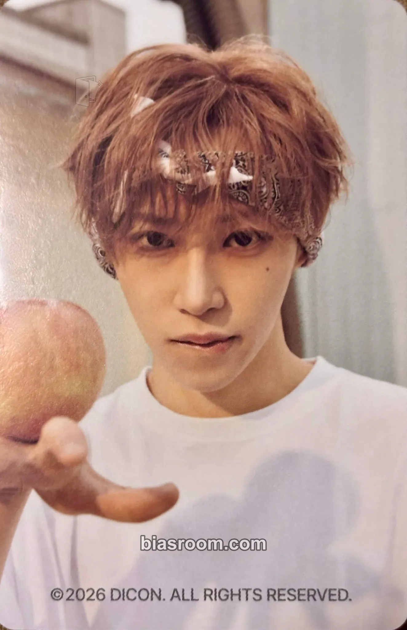 Arno DICON VOLUME Nº33 Photocard - ALPHA DRIVE ONE - ALPHA DRIVE ONE K-pop photocard