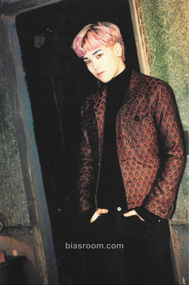 BANG&JUNG&YOO&MOON - Zelo - Rose Album album inclusion postcard A version
