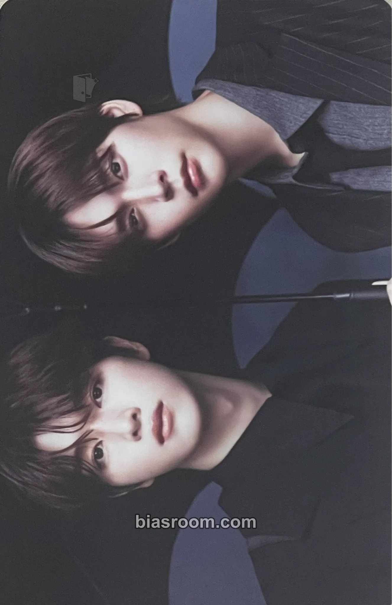 2025 Season's Greetings Photocard - RIIZE - RIIZE K-pop photocard