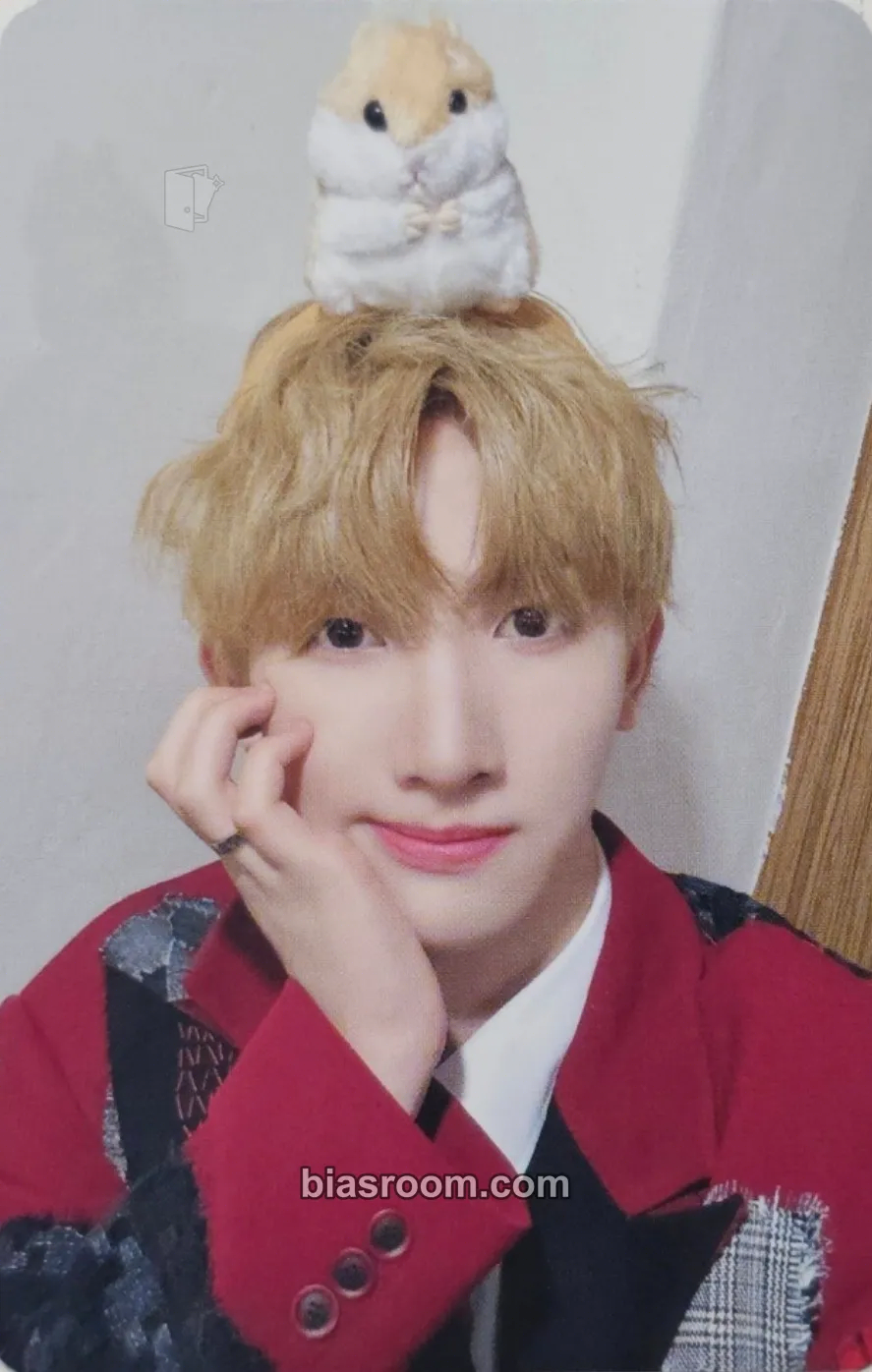 Seeun HOUSE OF TRICKY : WATCH OUT Photocard - xikers - xikers K-pop photocard