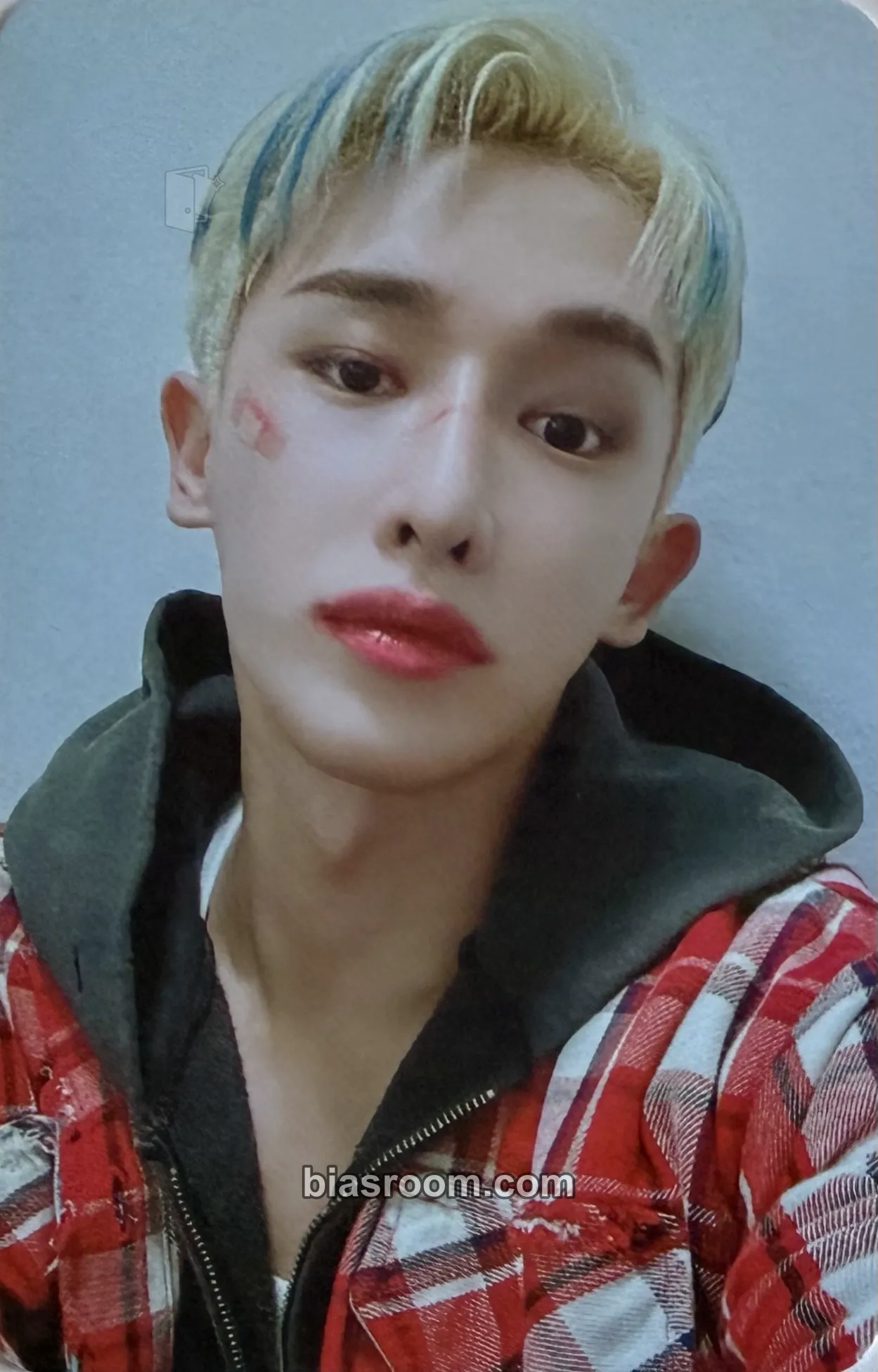 Wonho We are young concert Photocard - Wonho K-pop photocard