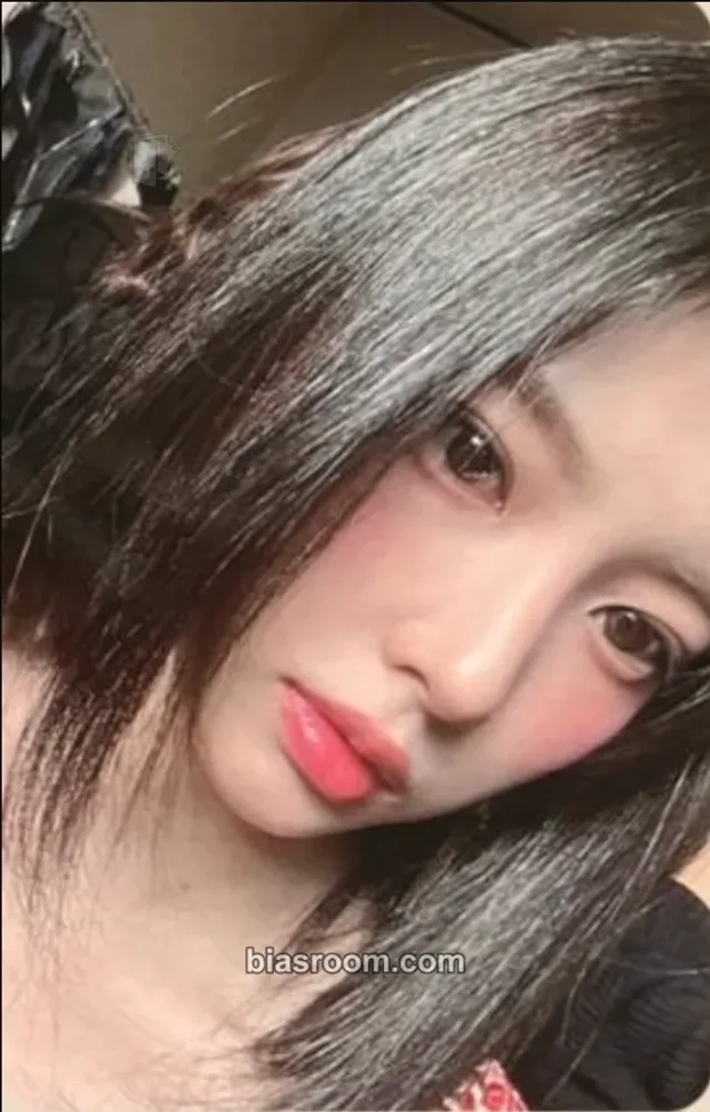 Kang Hyewon - Hyewon - 2024 Season’s Greetings - Hyems’ Candy: Warm and Cozy Other ktown4u pob (pre-order benefit)