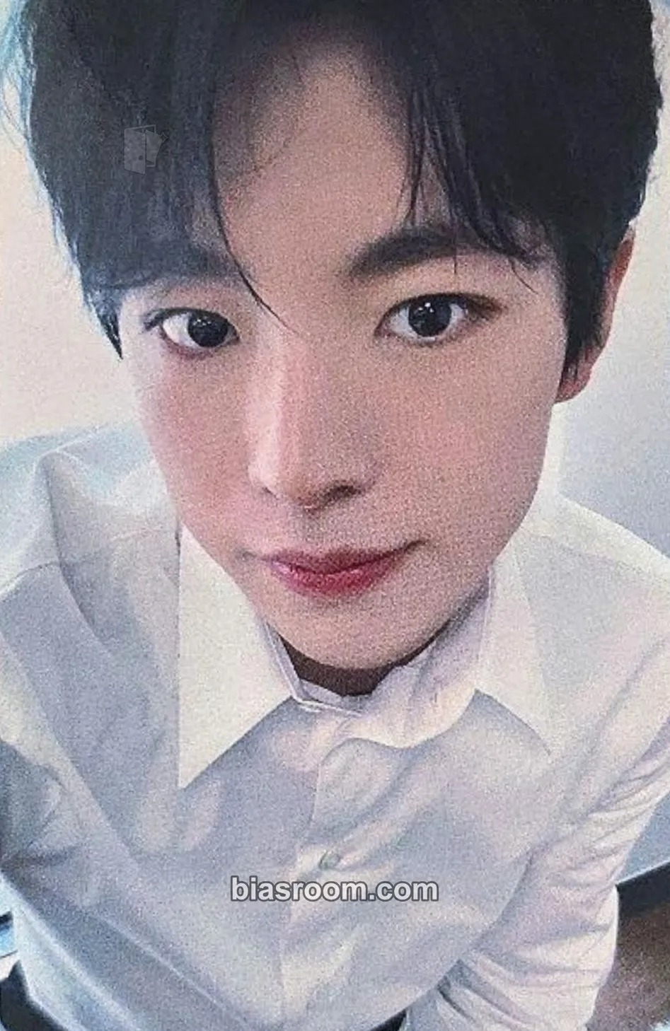 Yushi Songbird Photocard - NCT WISH - NCT WISH K-pop photocard