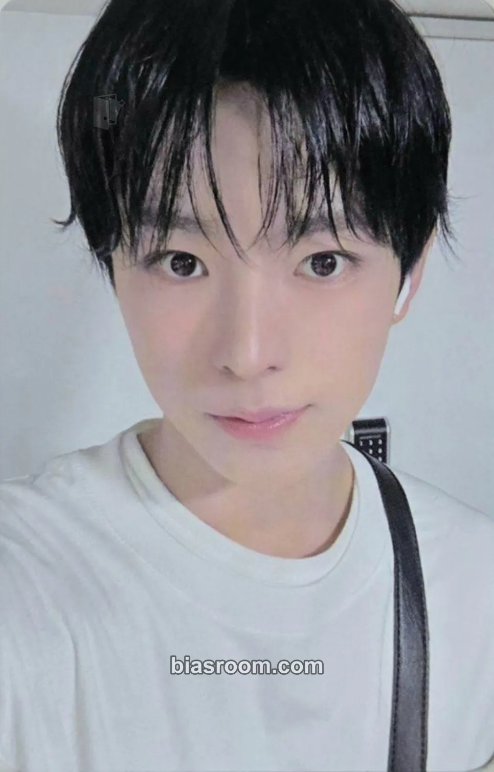 Yushi Songbird Photocard - NCT WISH - NCT WISH K-pop photocard