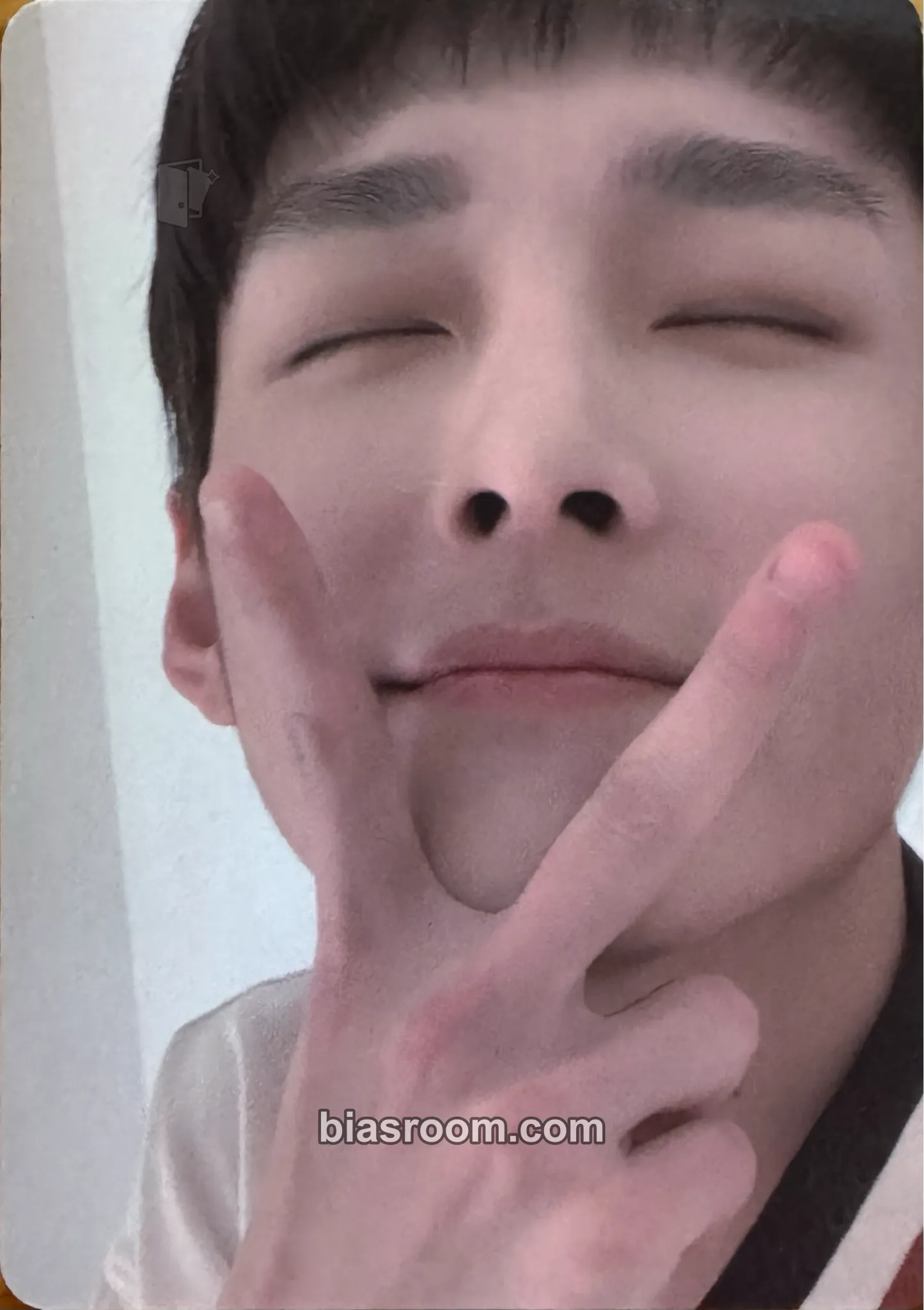 Zuho 2020 Season's Greetings Photocard - SF9 - SF9 K-pop photocard