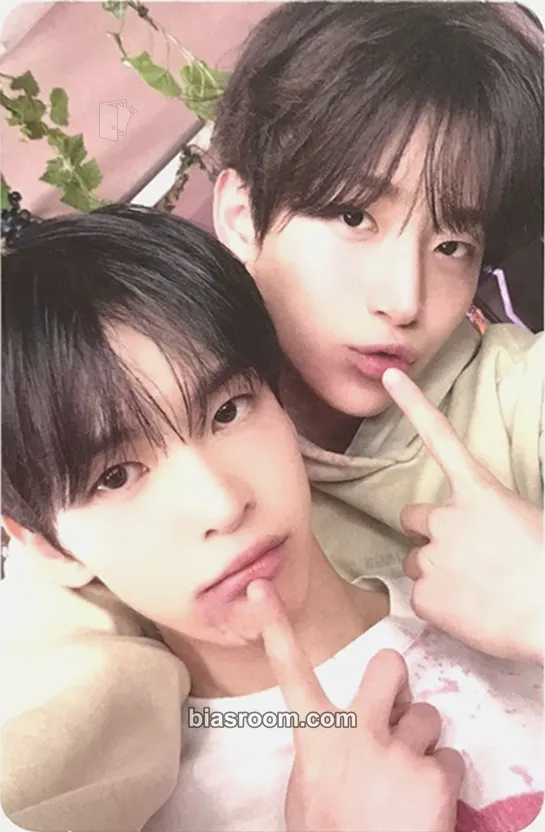 Dare to Crave Photocard - CRAVITY - CRAVITY K-pop photocard