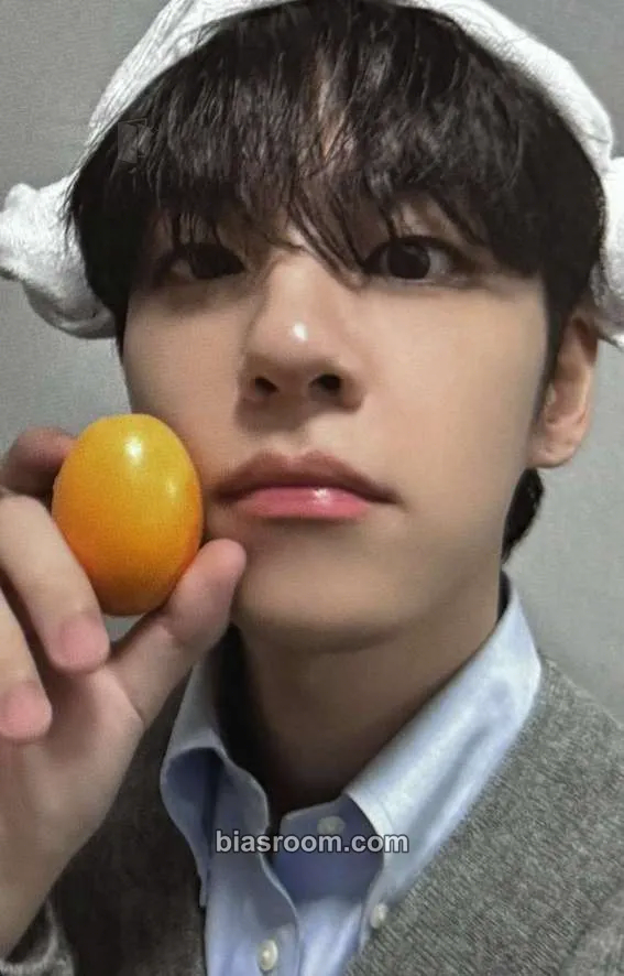 Wonpil Unpiltered Photocard - DAY6 - DAY6 K-pop photocard