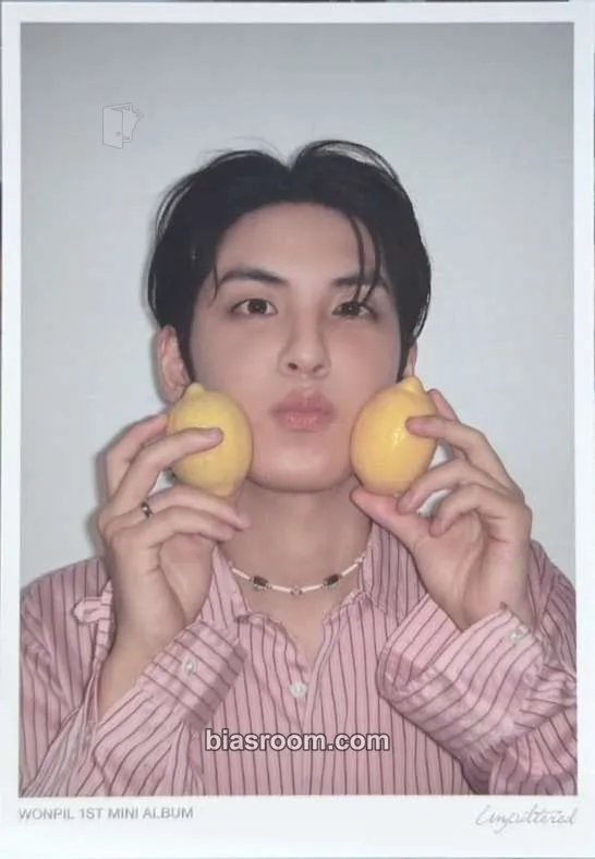 Wonpil Unpiltered Photocard - DAY6 - DAY6 K-pop photocard