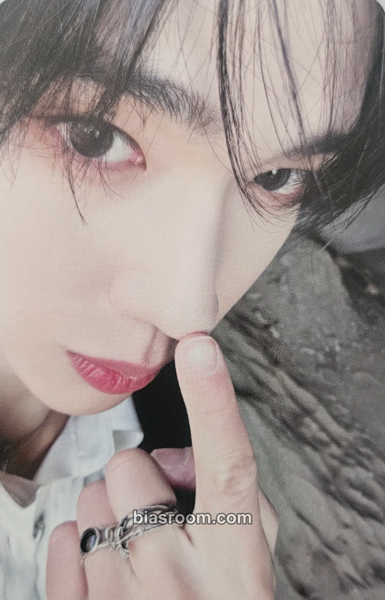 Chael Butterfly Photocard - LUN8 - LUN8 K-pop photocard