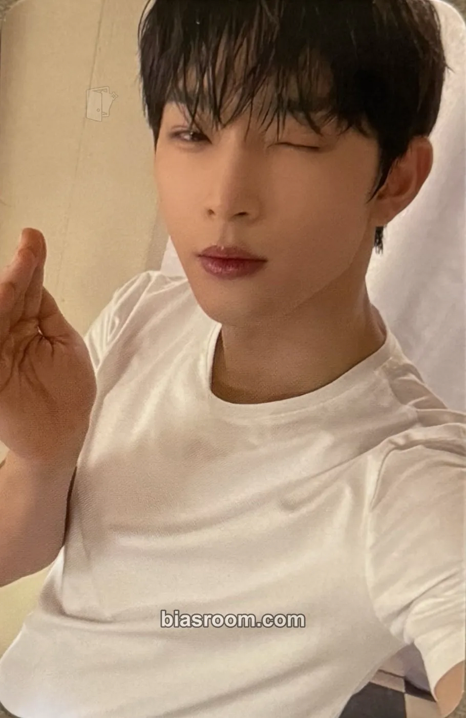 Leedo MALUS Photocard - ONEUS - ONEUS K-pop photocard